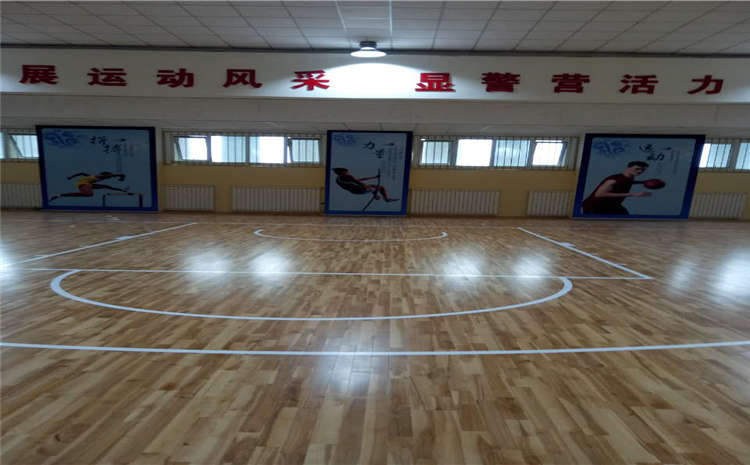 常見(jiàn)的運(yùn)動(dòng)木地板圖片
