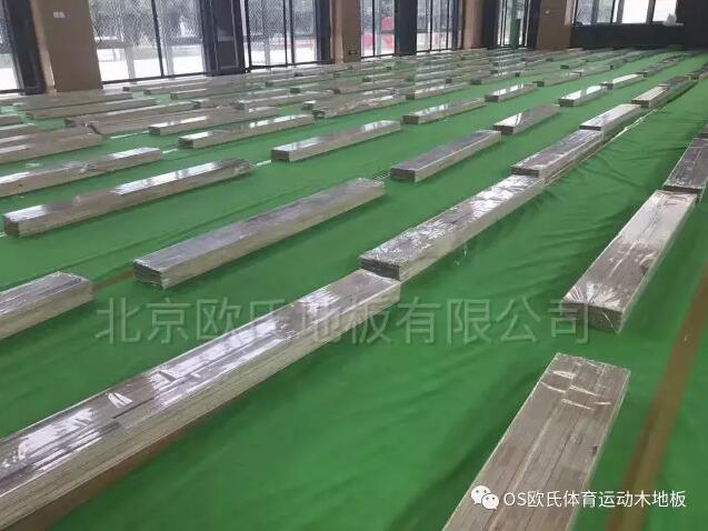 河南周口市沈丘青少年活動中心體育館運(yùn)動木地板成功案例-1