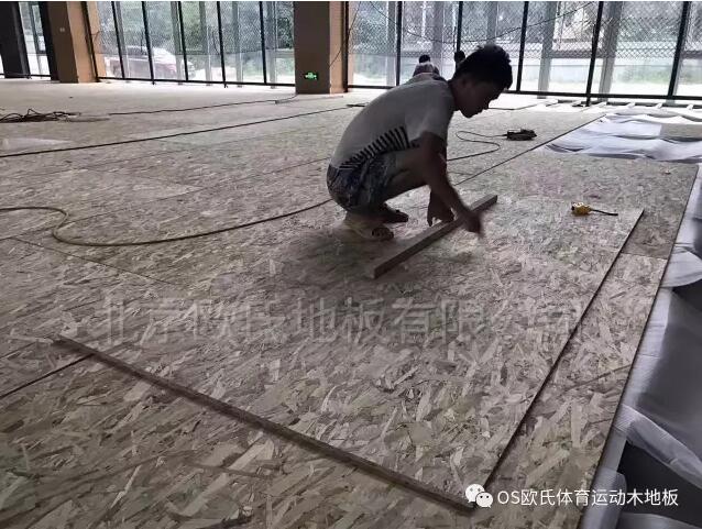 河南周口市沈丘青少年活動中心體育館運(yùn)動木地板成功案例-2