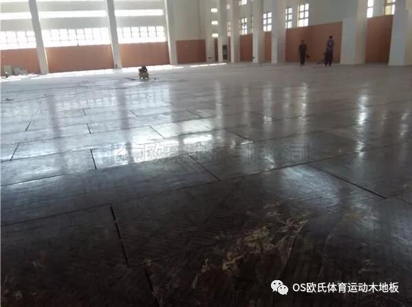 溫州甌海區(qū)外國語學(xué)校初中分校運(yùn)動(dòng)木地板案例